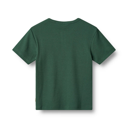 [Wheat] T-Shirt S/S Lumi - Green