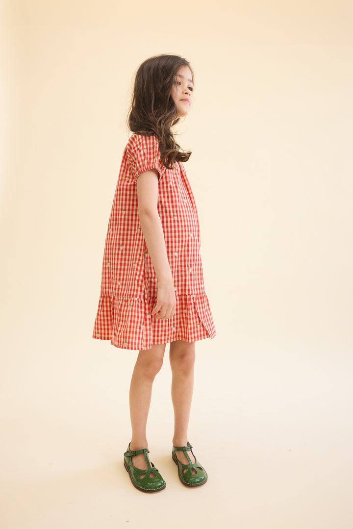 [Floss] Molly Pineberry Dress - Red-pink Berry Gingham