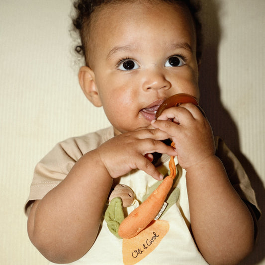 [Oli&Carol]Cathy the Carrot Pacifier Clip