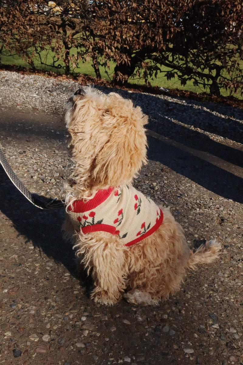 [Konges slojd] Cherry Knit Dog Vest