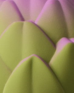 [Oli&Carol]  Artichoke Rattle Toy