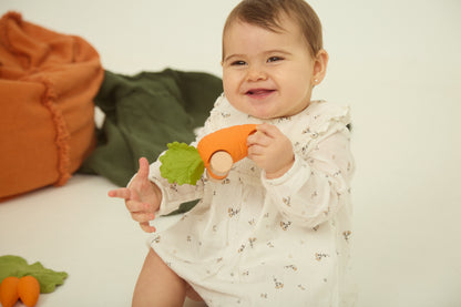 [Oli&Carol]Cathy The Carrot Baby Car