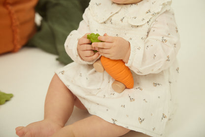 [Oli&Carol]Cathy The Carrot Baby Car