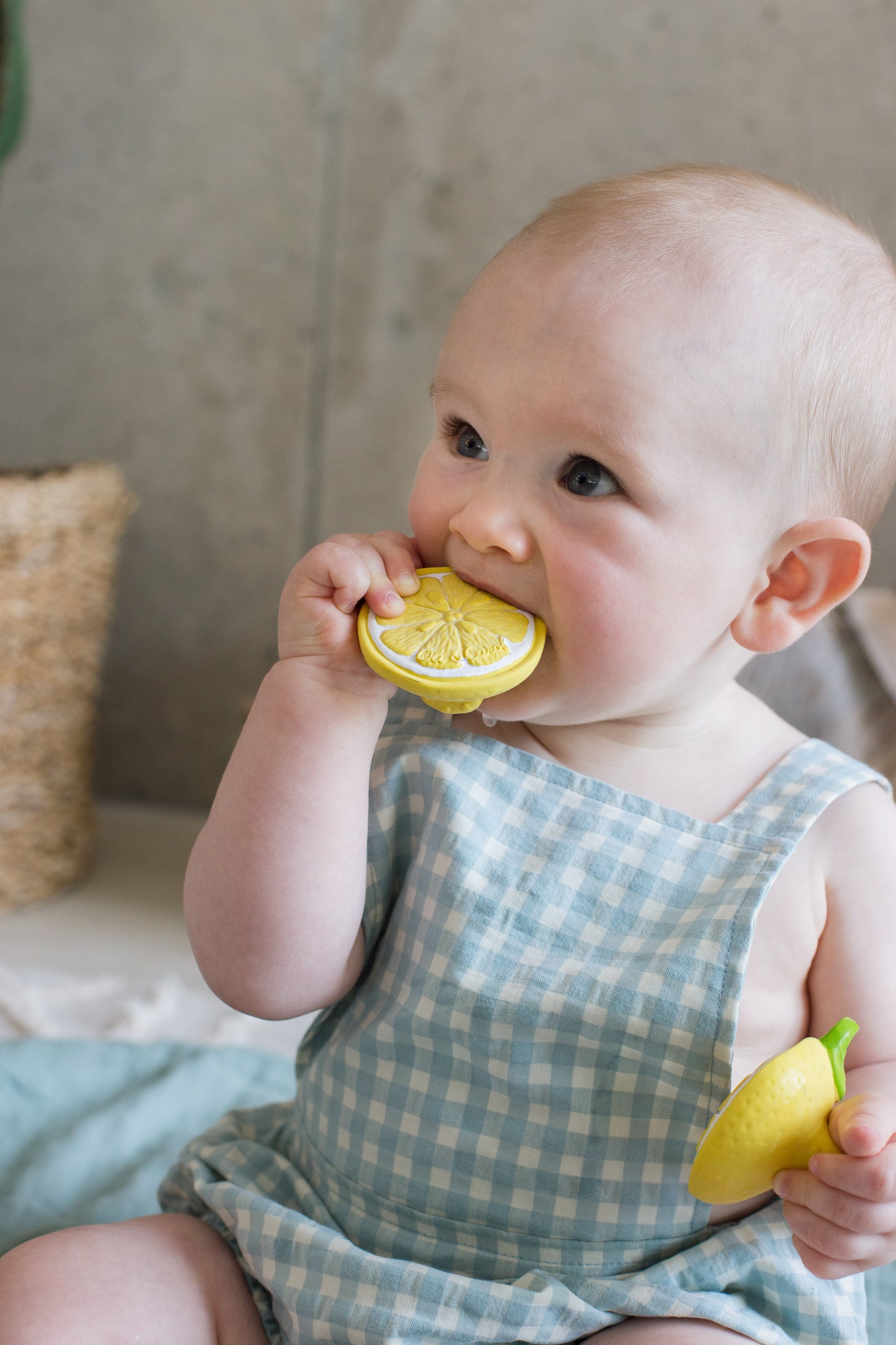 [Oli&Carol]Lou The Lemon Chewy