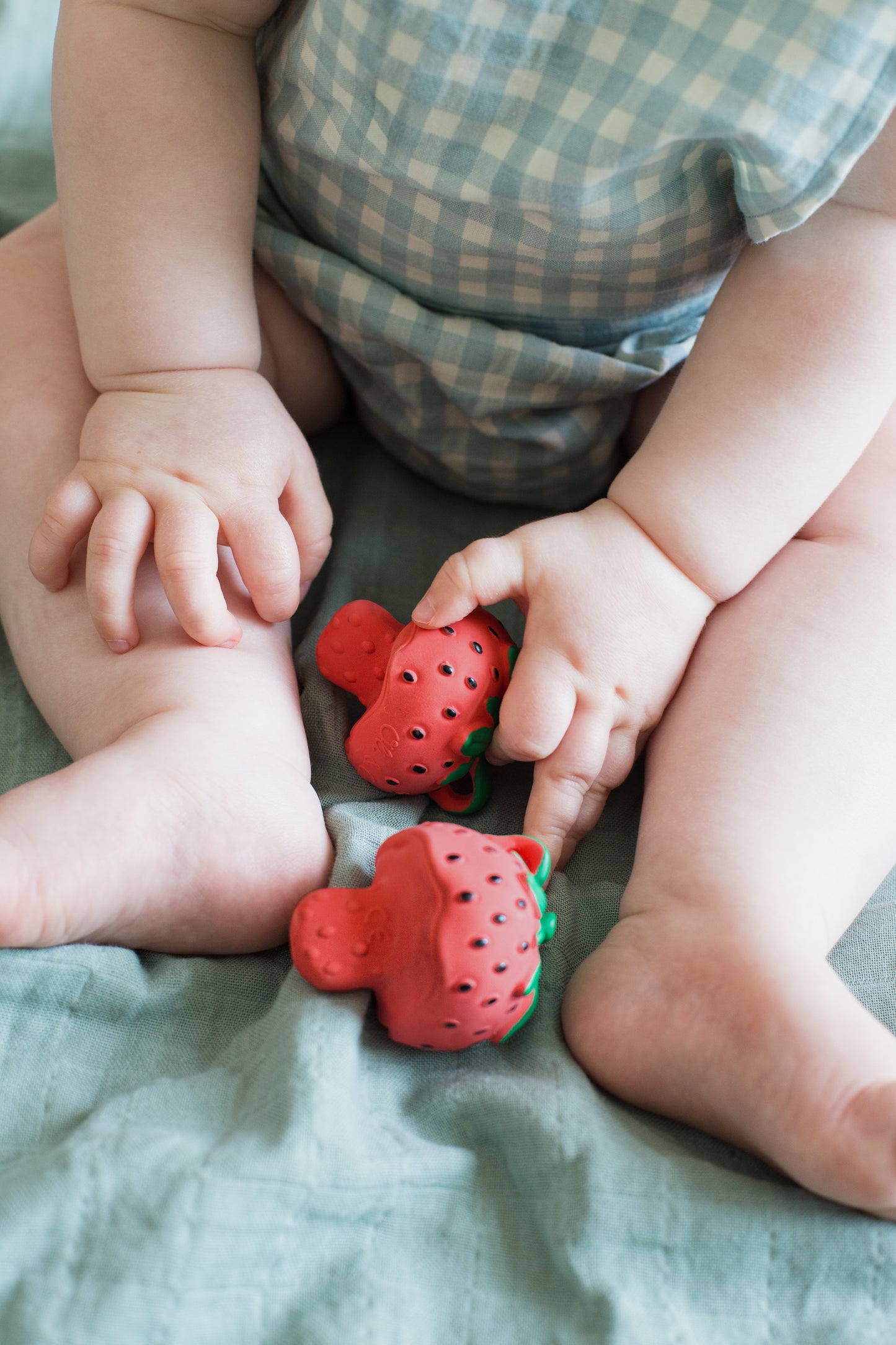 [Oli&Carol]Sweetie The Strawberry Chewy