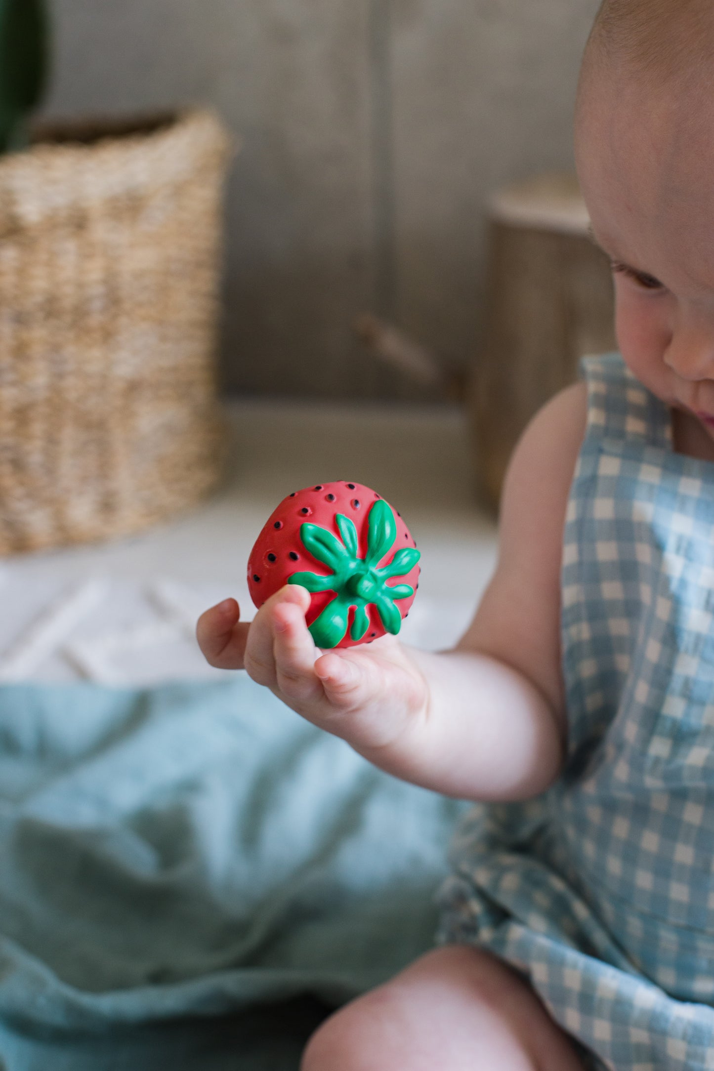 [Oli&Carol]Sweetie The Strawberry Chewy