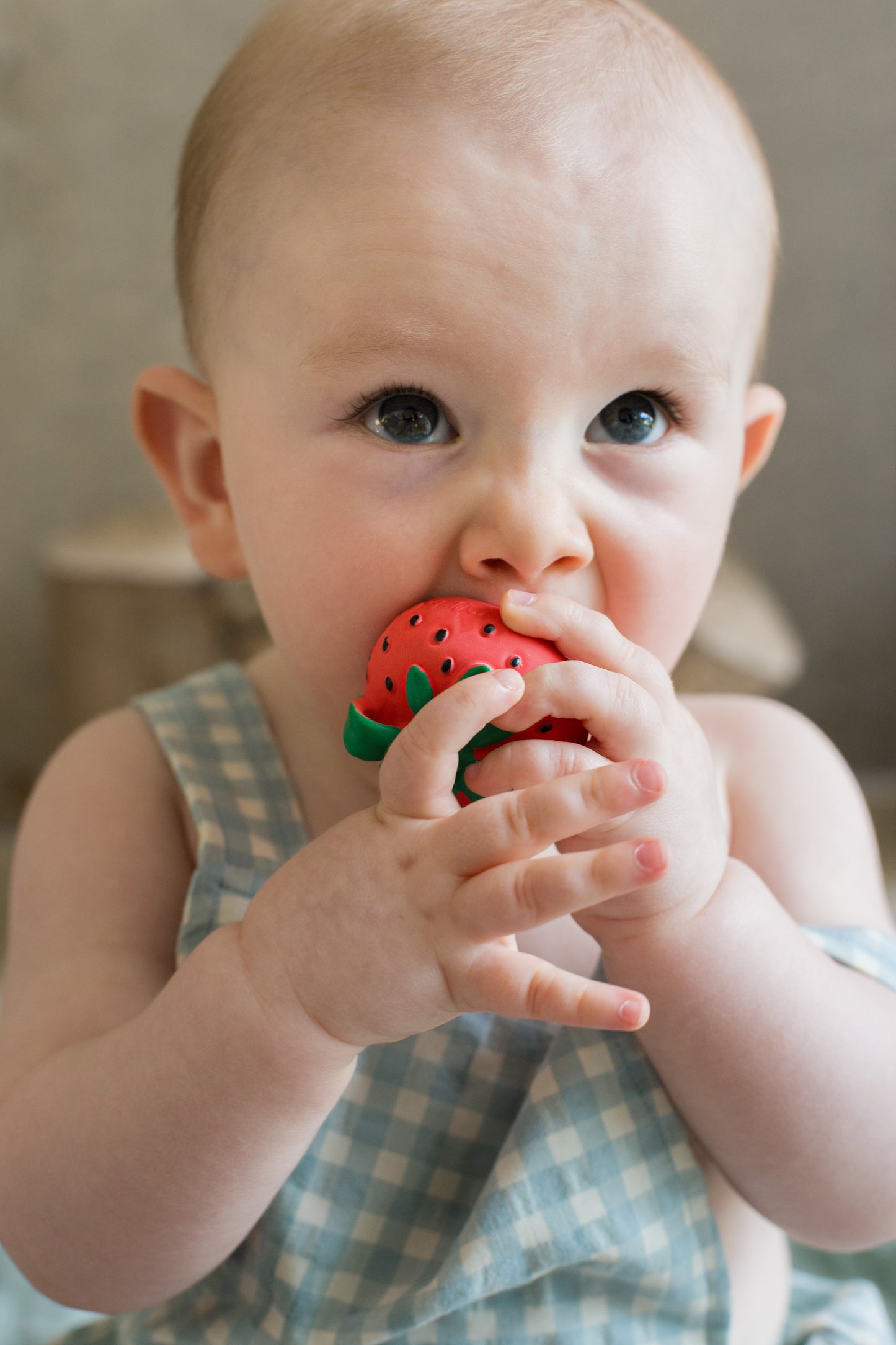 [Oli&Carol]Sweetie The Strawberry Chewy