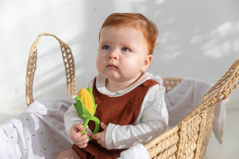 [Oli&Carol] Corn Rattle Toy