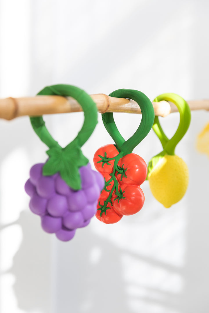 [Oli&Carol] Grape Rattle Toy