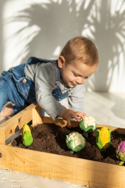 [Oli&Carol]Cauliflower Rattle Toy