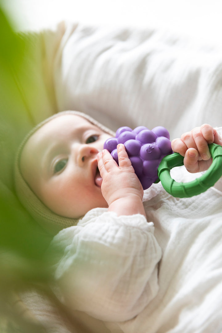 [Oli&Carol] Grape Rattle Toy