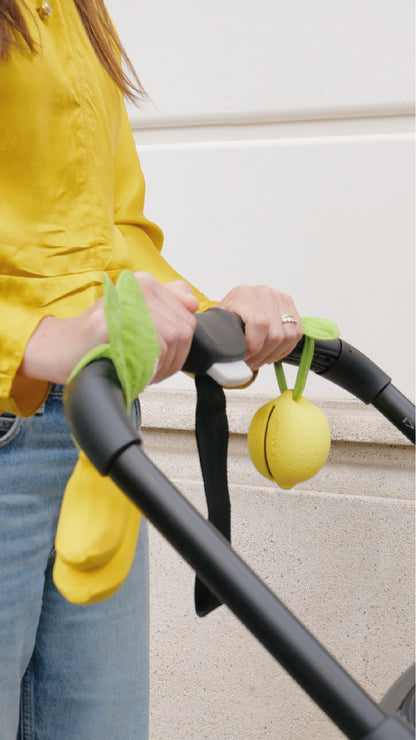 [Oli&Carol]Pacifier Case Lemon