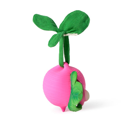 [Oli&Carol]Pacifier Case Raddish
