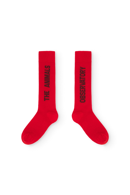 [TAO] Worm Kid. Socks - Fig Red