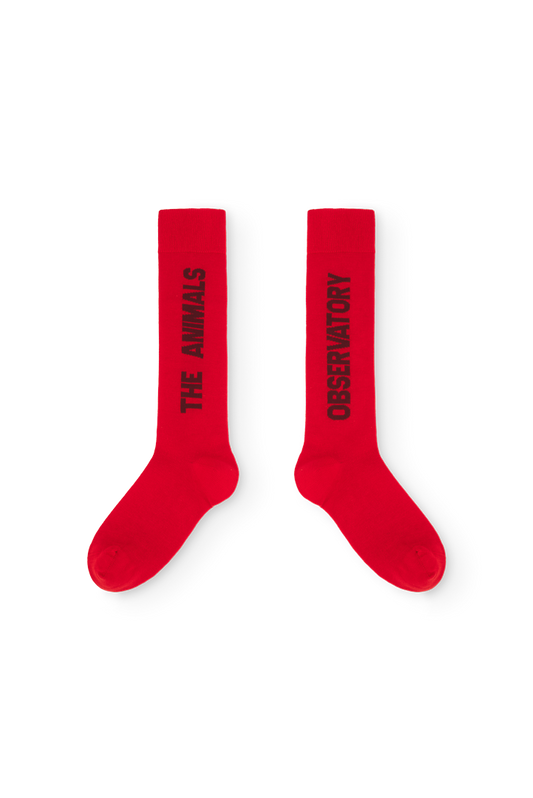 [TAO] Worm Kid. Socks - Fig Red