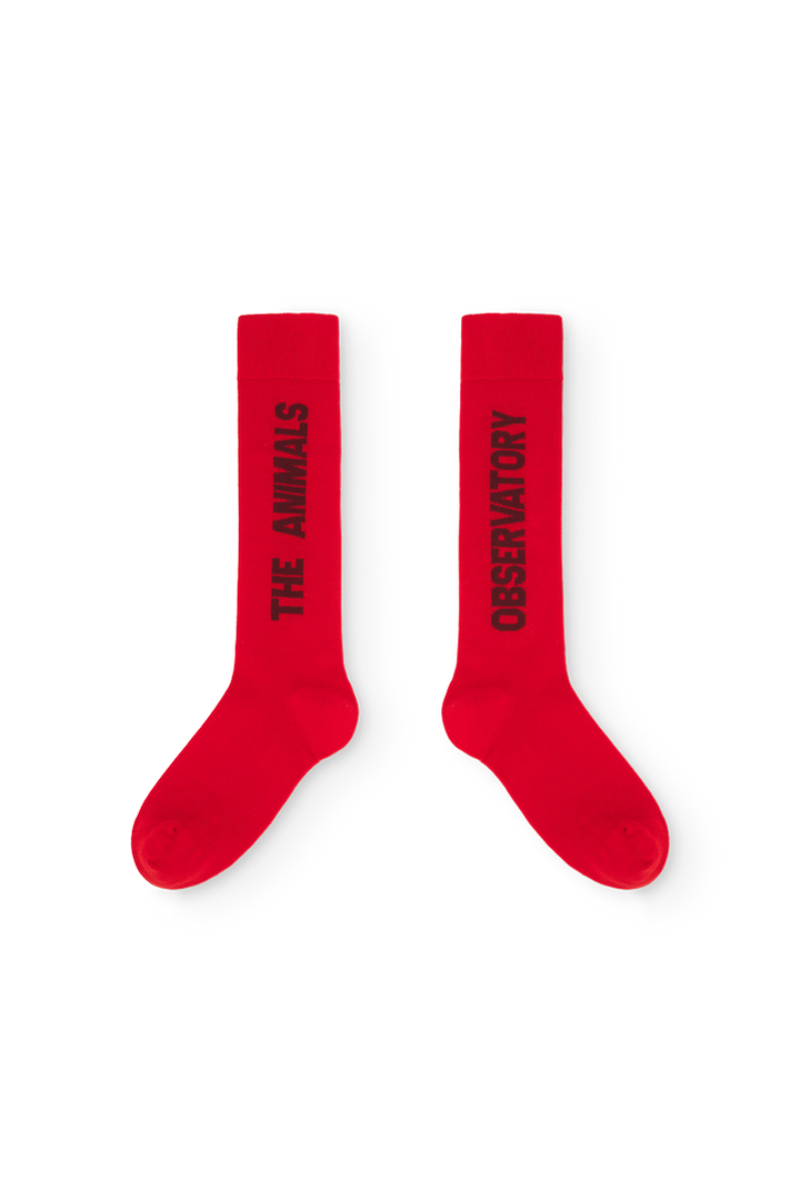[TAO] Worm Kid. Socks - Fig Red