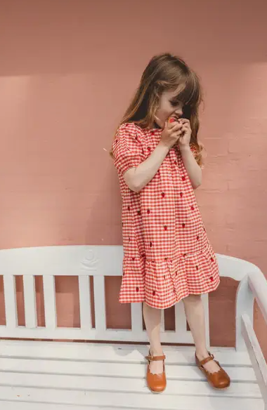 [Floss] Molly Dress - Berry Gingham